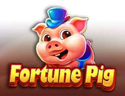 Responsible adventure slots browsing image for adult bijali users